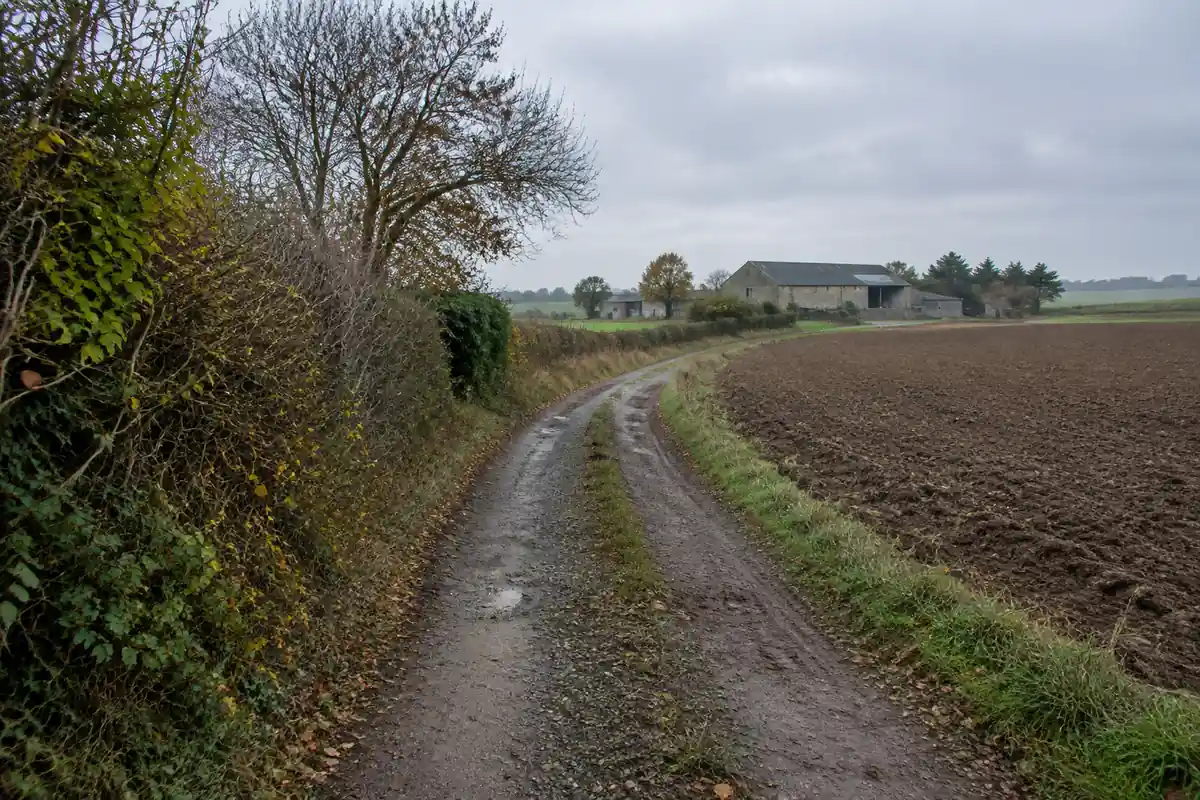 Chemin de campagne bordé de haies et de champs labourés, avec un bâtiment agricole au loin
